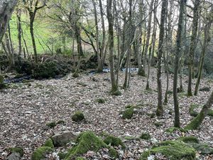 Photo 8- click for photo gallery